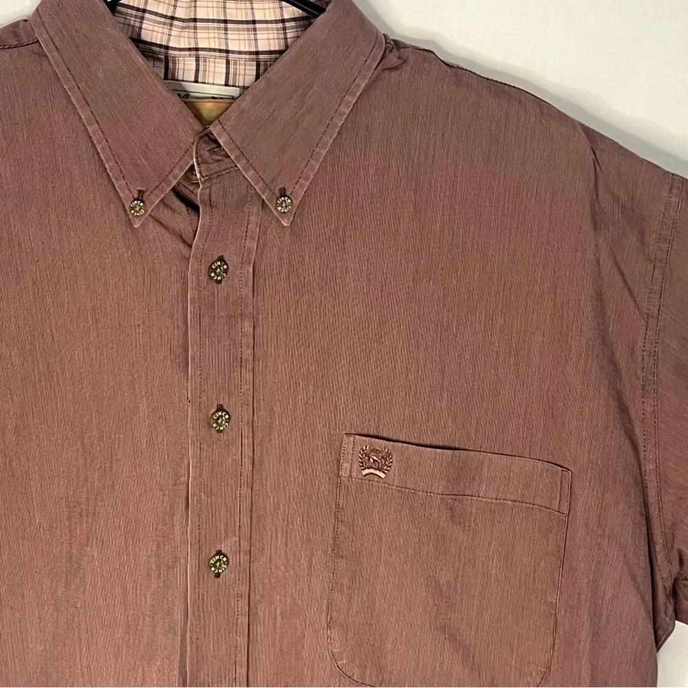Cinch button down - Picture 6 of 6